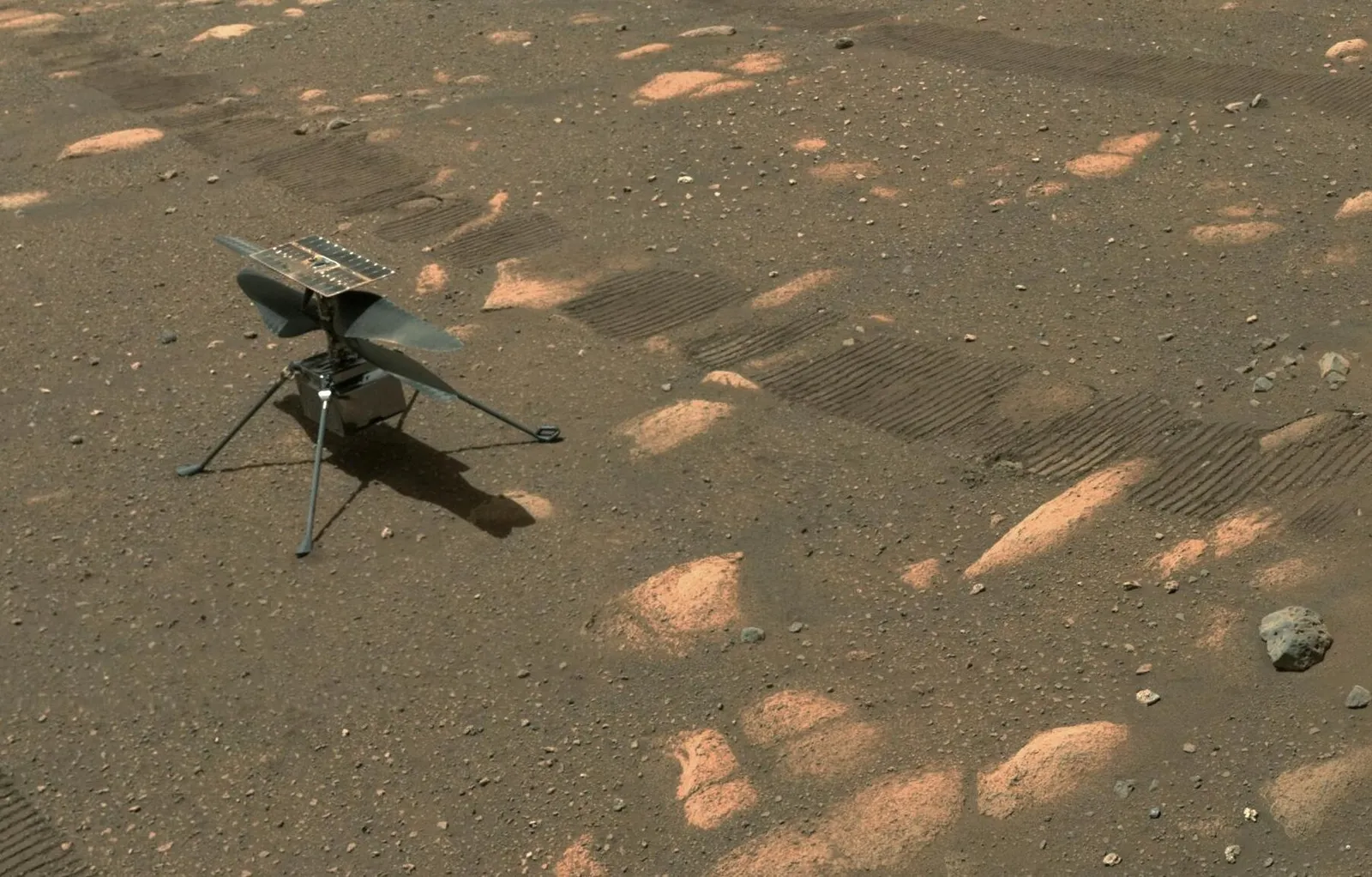 The Ingenuity helicopter, with its rotor blades and solar panel on top and four thin legs, standing on the reddish ground of Mars